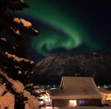 Tromso Arctic Villa With Free Parking Exterior foto
