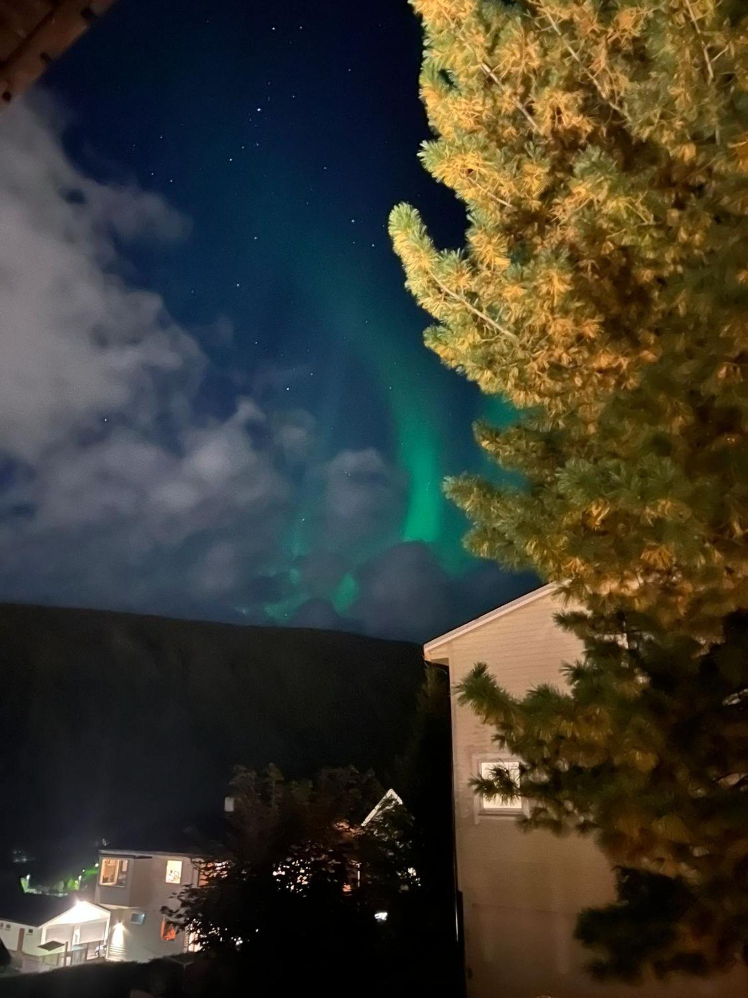 Tromso Arctic Villa With Free Parking Exterior foto